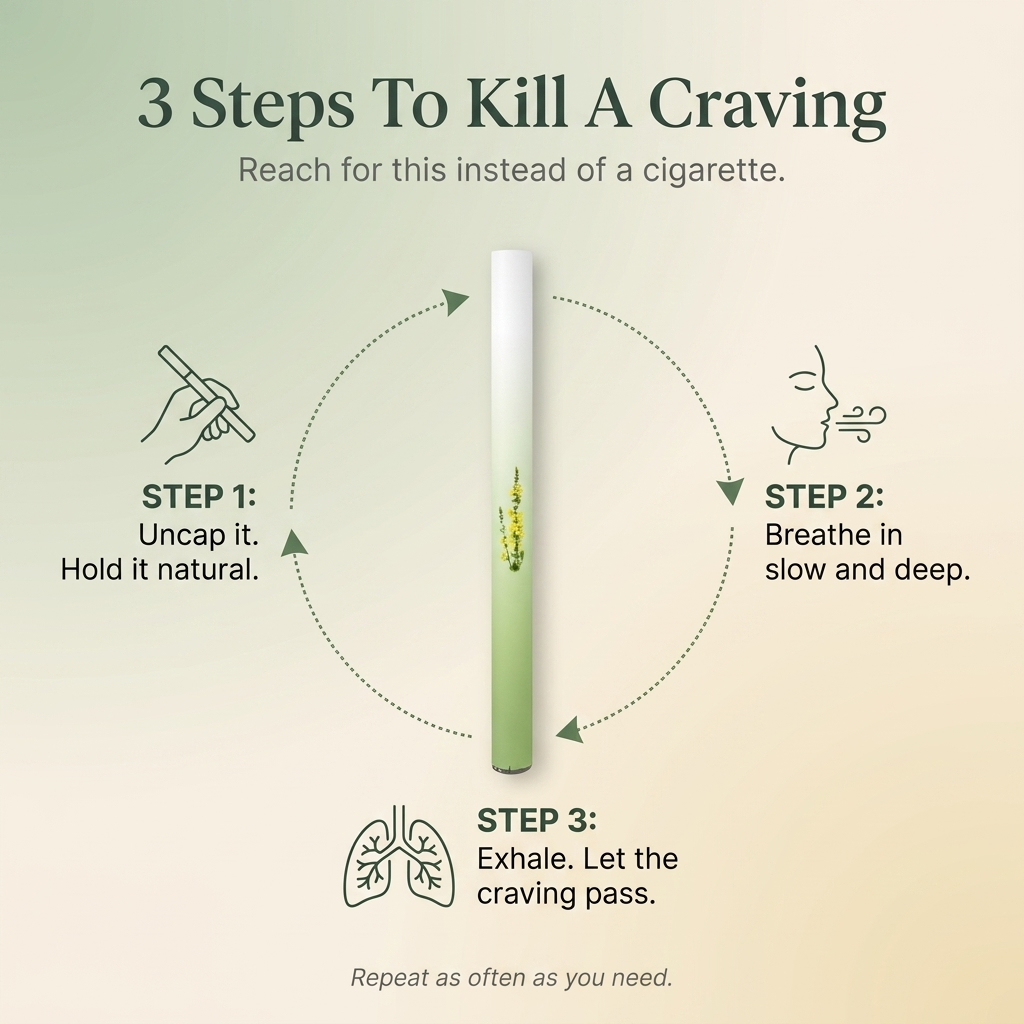 4 in 1 AirRenew Herbal Inhaler